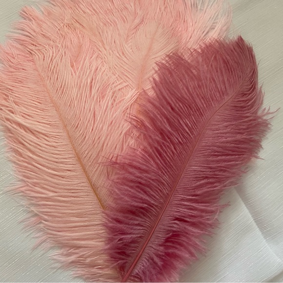 10 pieces | Dusty rose & Blush Pink Feathers Wedding Party for Centerpieces ~ - Picture 1 of 1